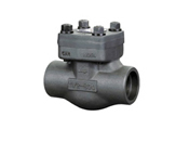 Forged Steel Check Valve