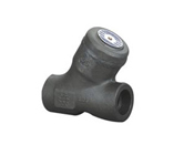 Forged steel Y Type Check valve