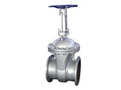 Cast Steel Gate Valve